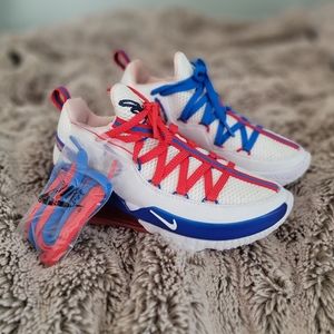 Nike LeBron 17 Low Tune Squad